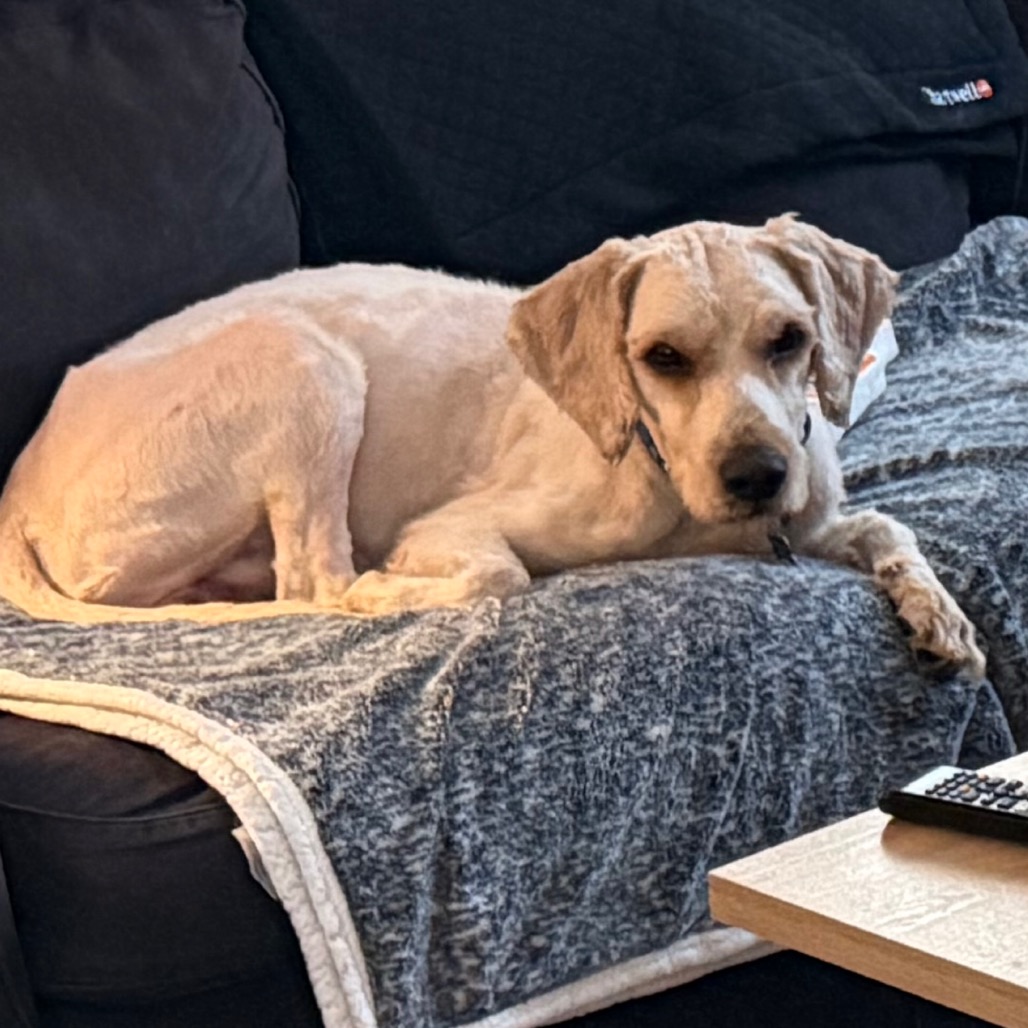 d913fa53da04ebf76c0213d3b8f693cf