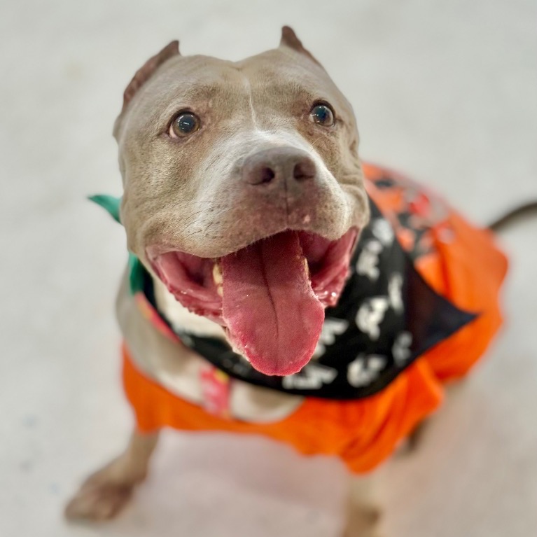 Full body shot of Paige