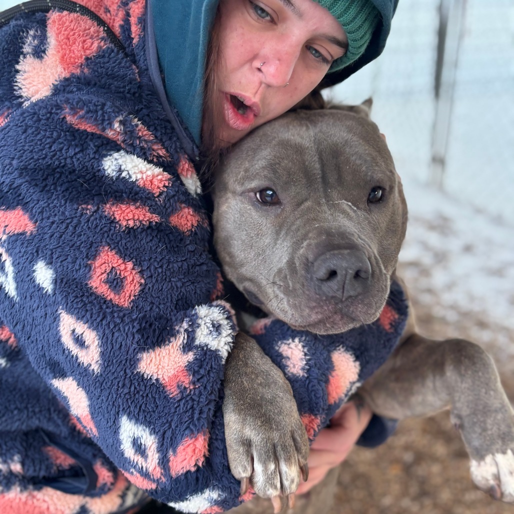 Fantine 2 — thumbnail 8