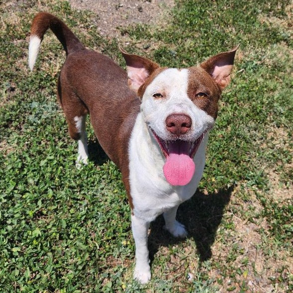 Zeus photo 8