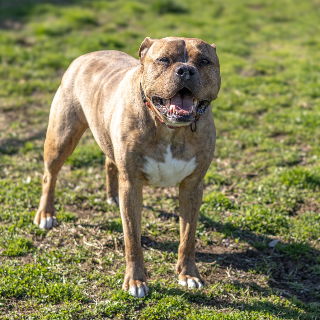 Zeus, additional photo