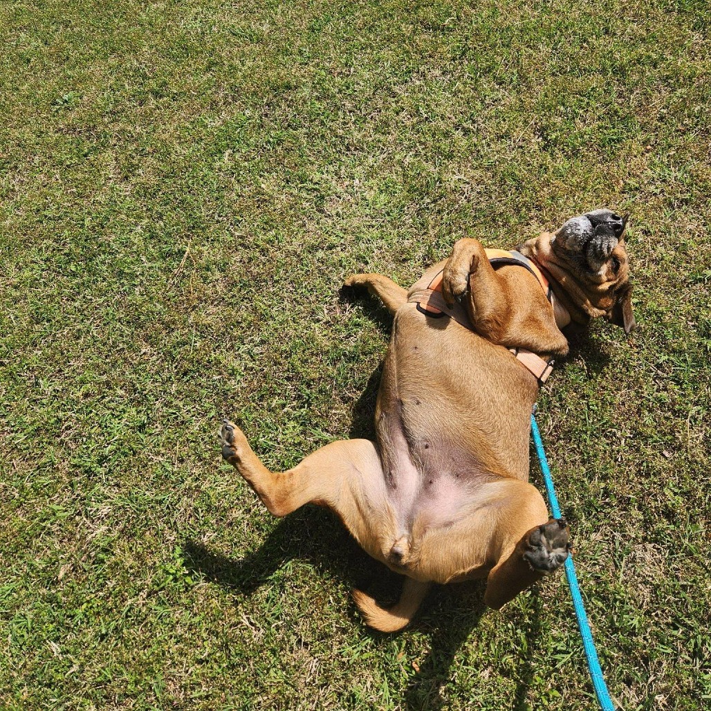 Zoey, photo 4