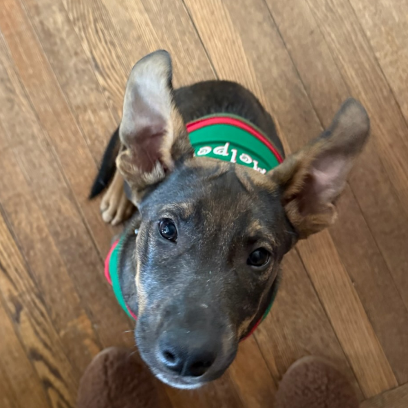 Asher — thumbnail 4