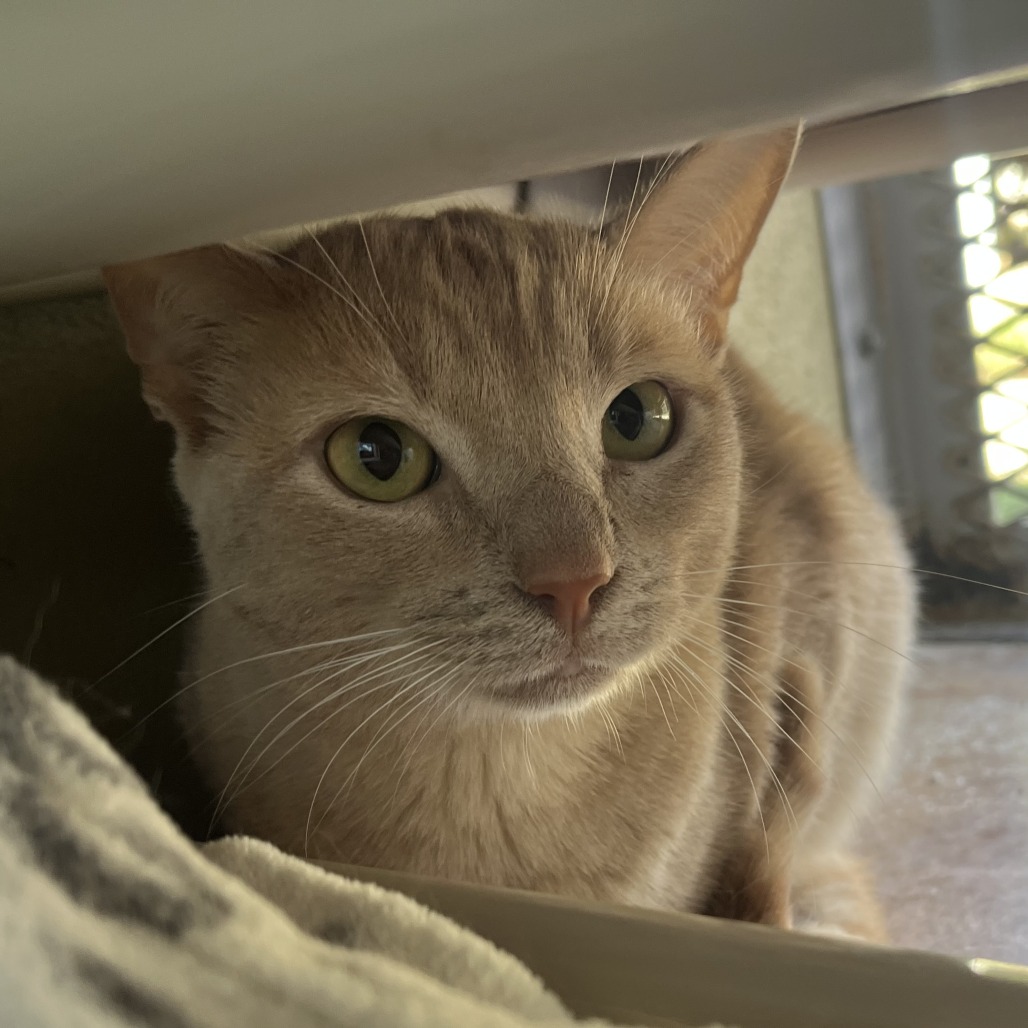 MAX, photo 4