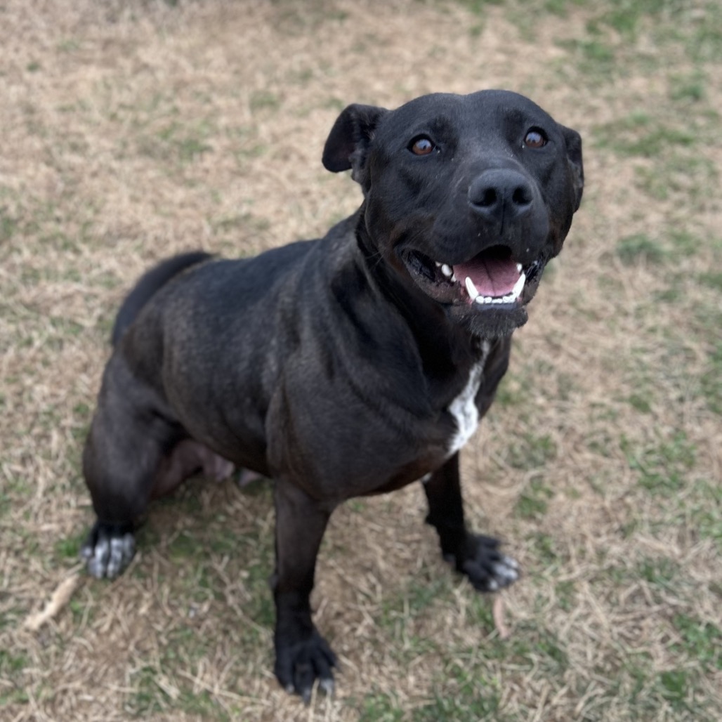 Donut — thumbnail 7