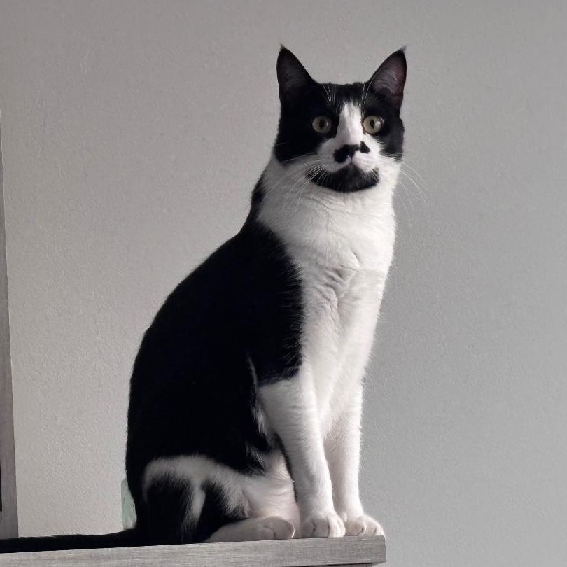 Charlie