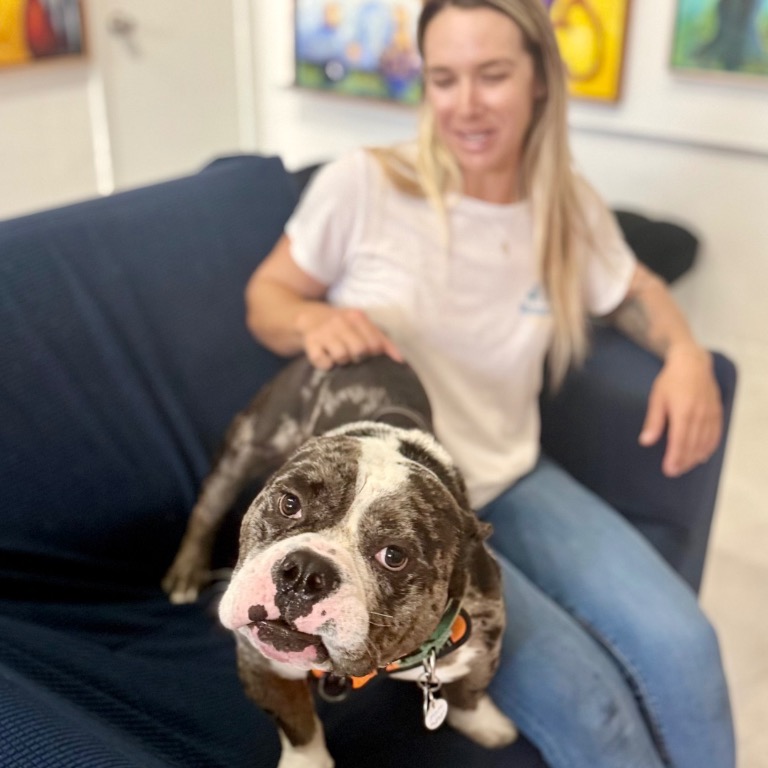 Close-up photo of Ronnie