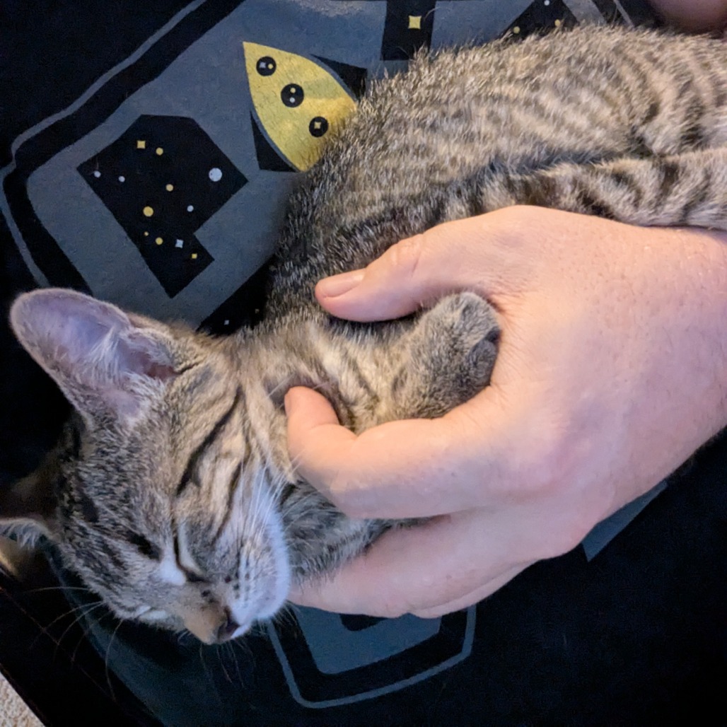 Milla Koshka, photo 9