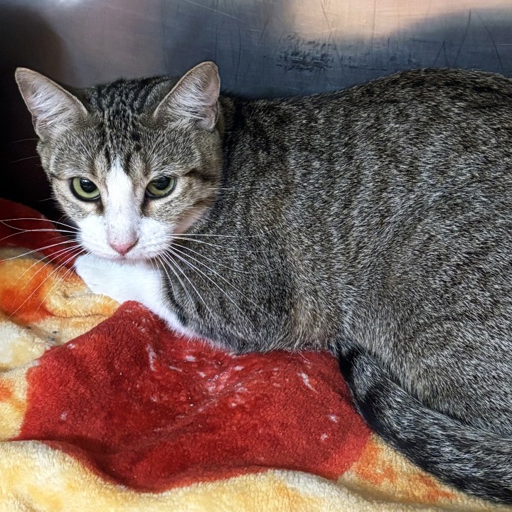 Dear April — thumbnail 5