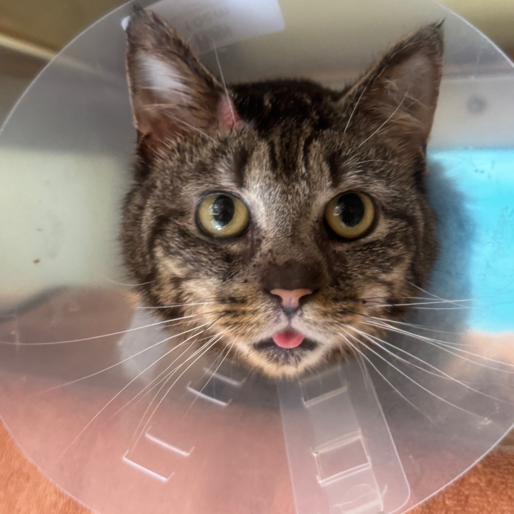 ec687b2516363461c7eae35ede4b9ffc