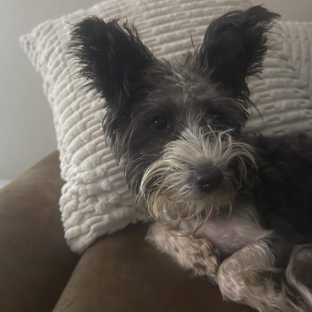 Sally, photo 12