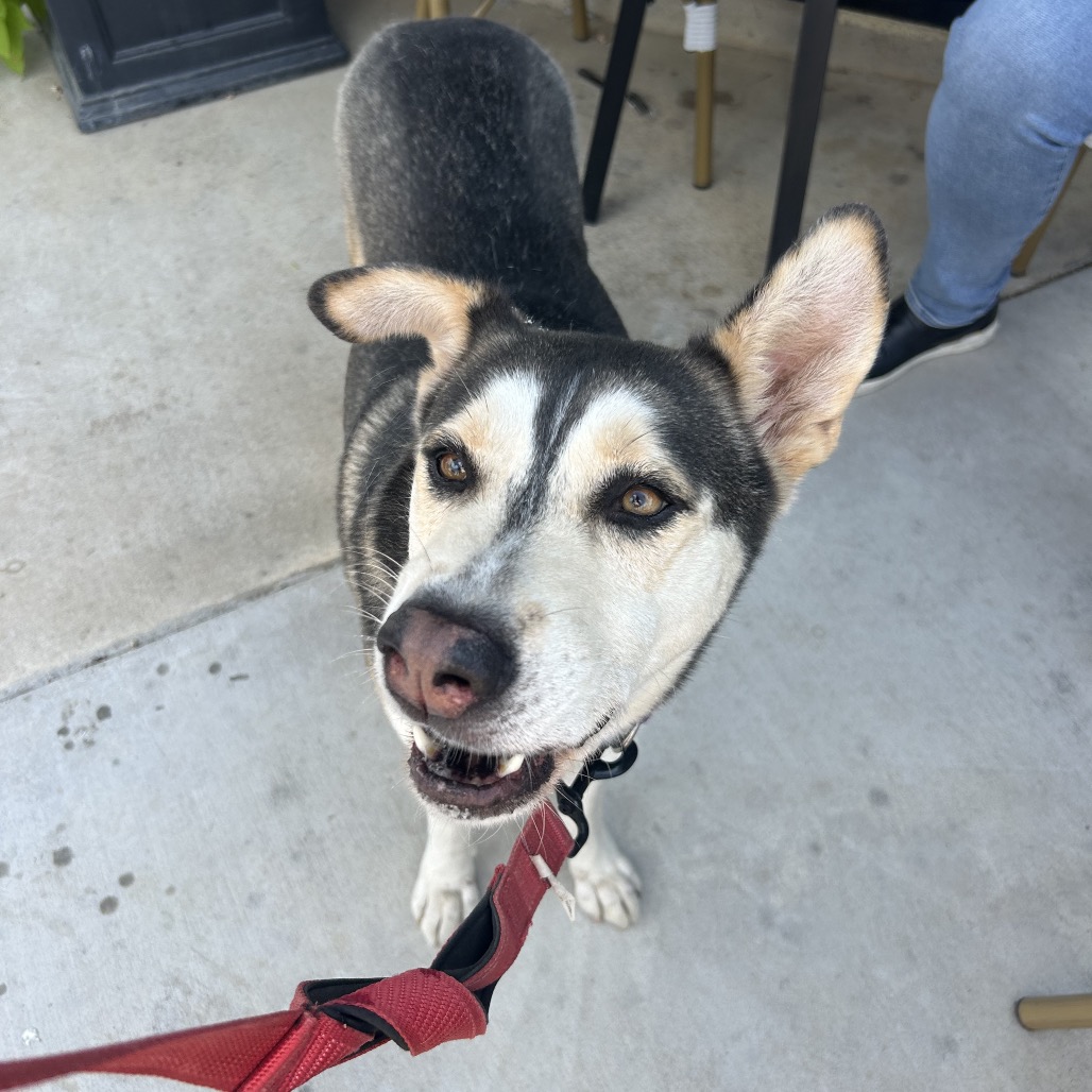 BINDI, photo 15