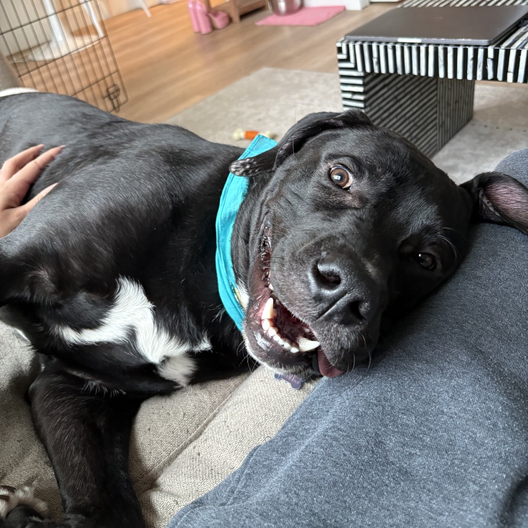 Socks — thumbnail 2