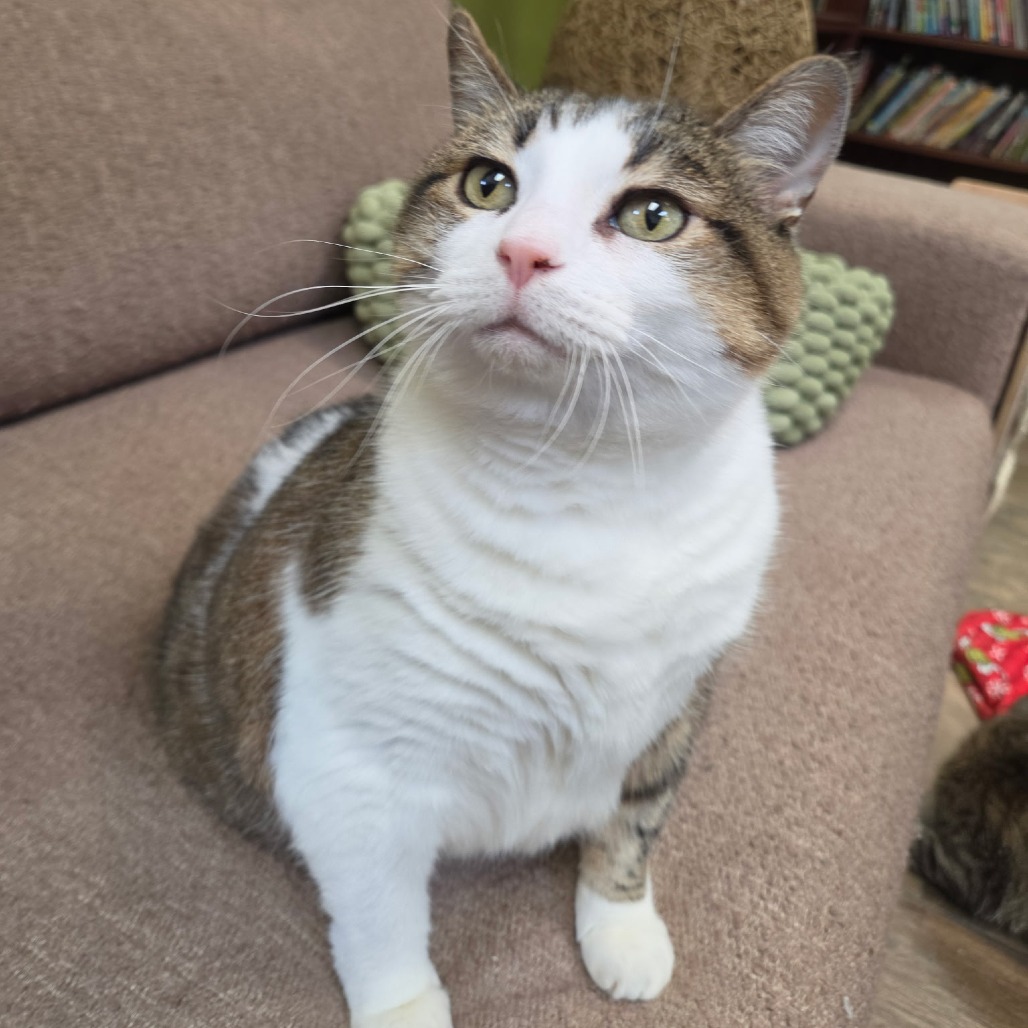 Annie "Her Royal Highness" Lump