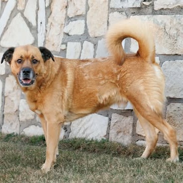 Mason, photo 10