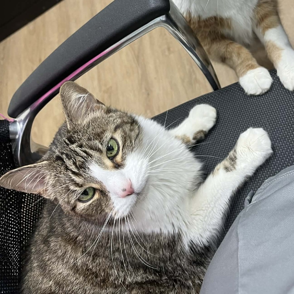 Izuku — thumbnail 5