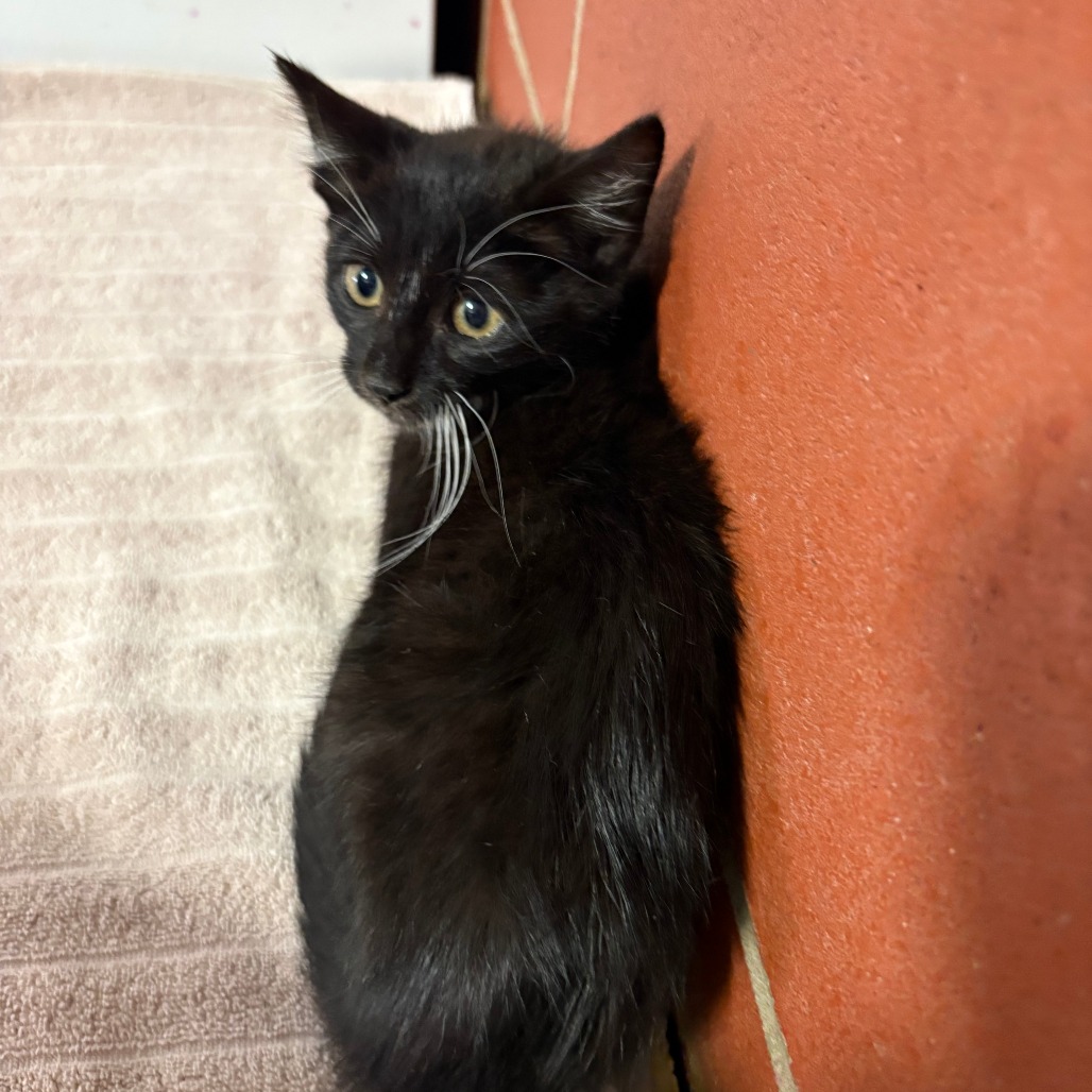 Marnie, photo 3