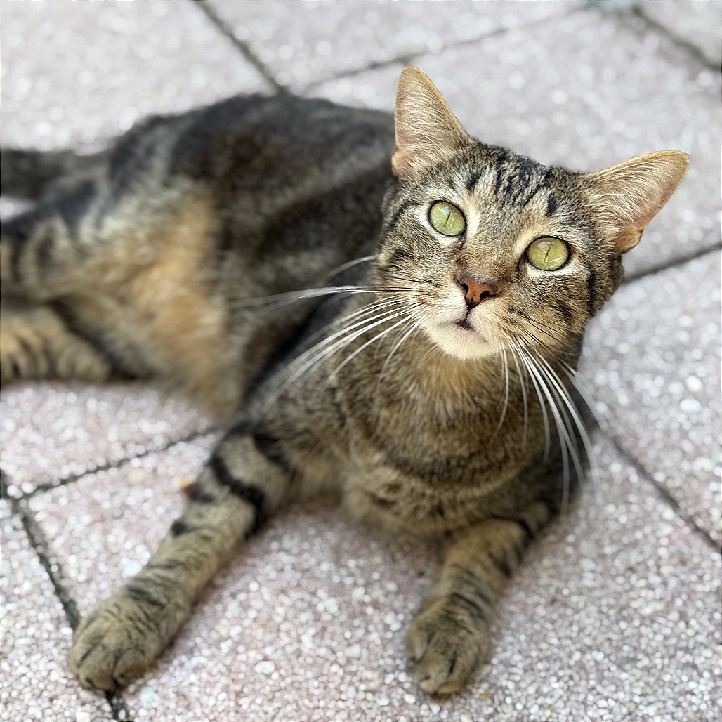 Another portrait of Squirt
