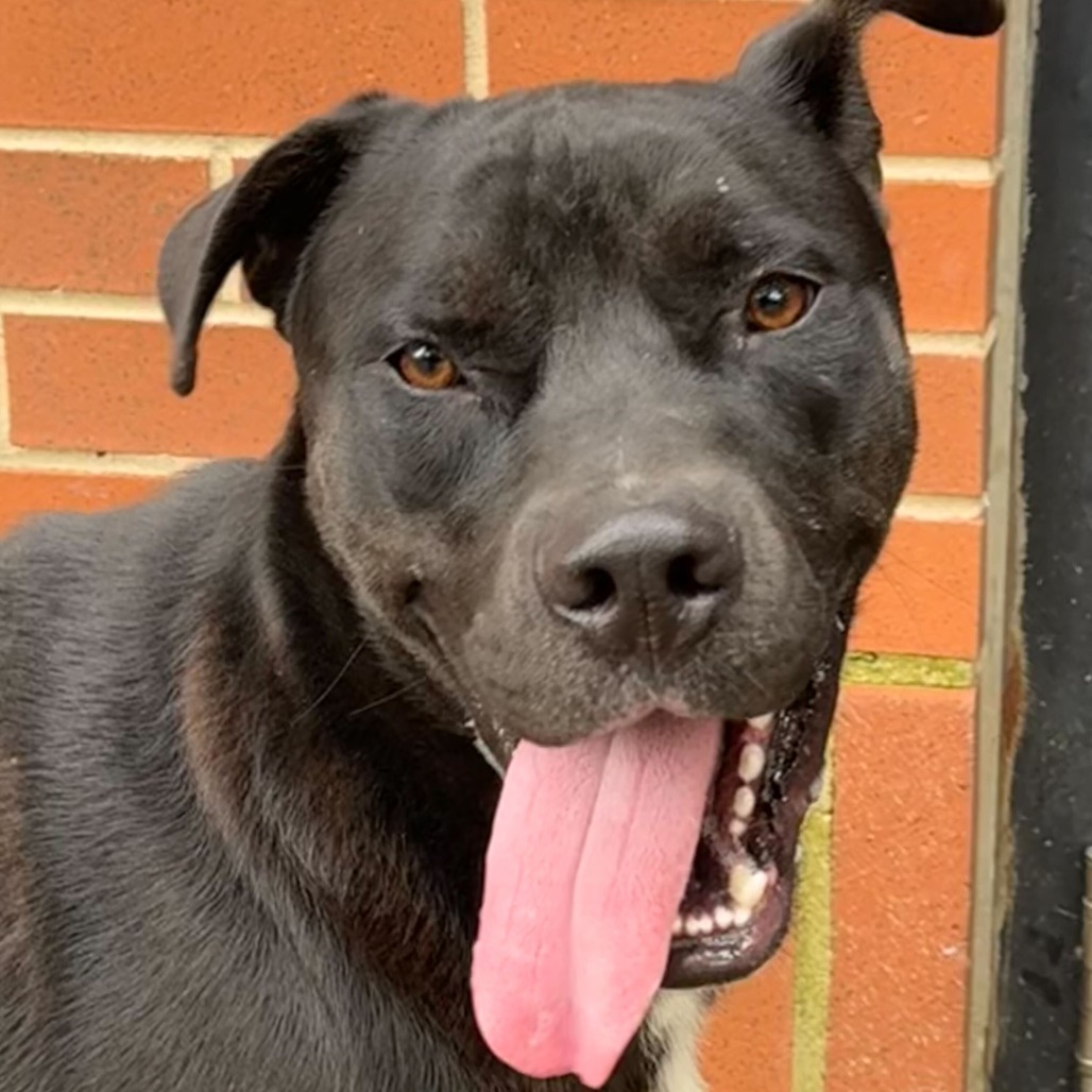 Bret — thumbnail 2