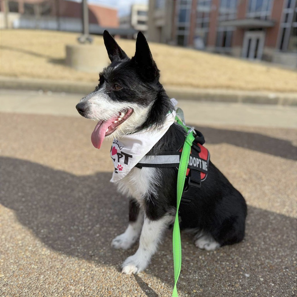 Squirt — thumbnail 5