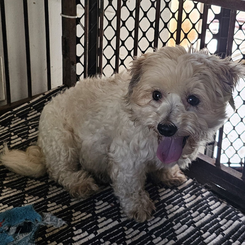 SANDERS — thumbnail 2