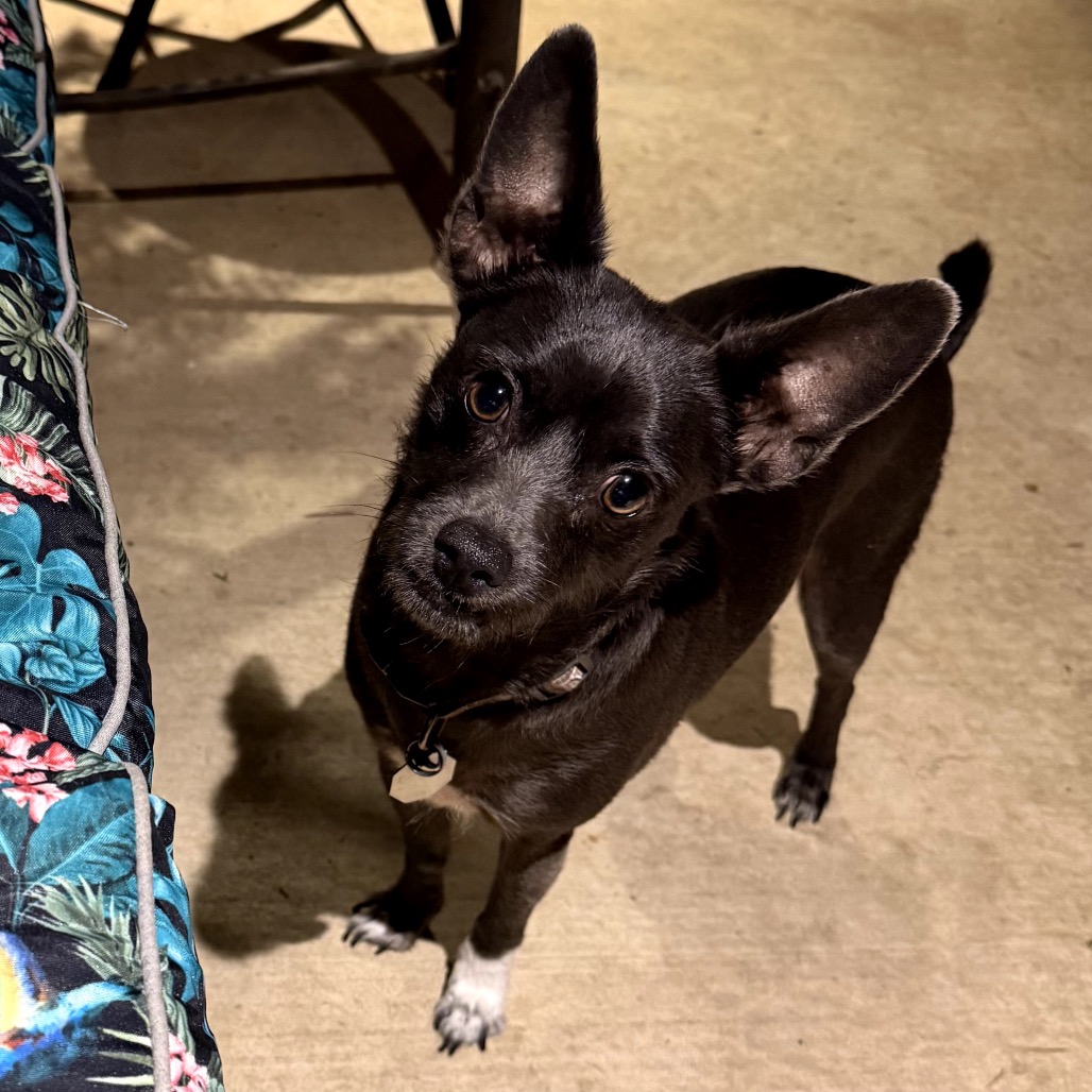Photo of Rico "Duffus"