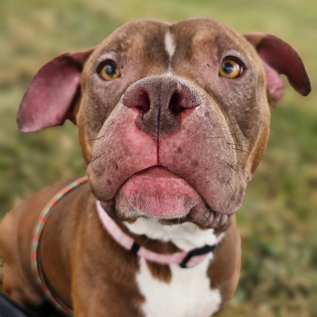 Delilah
