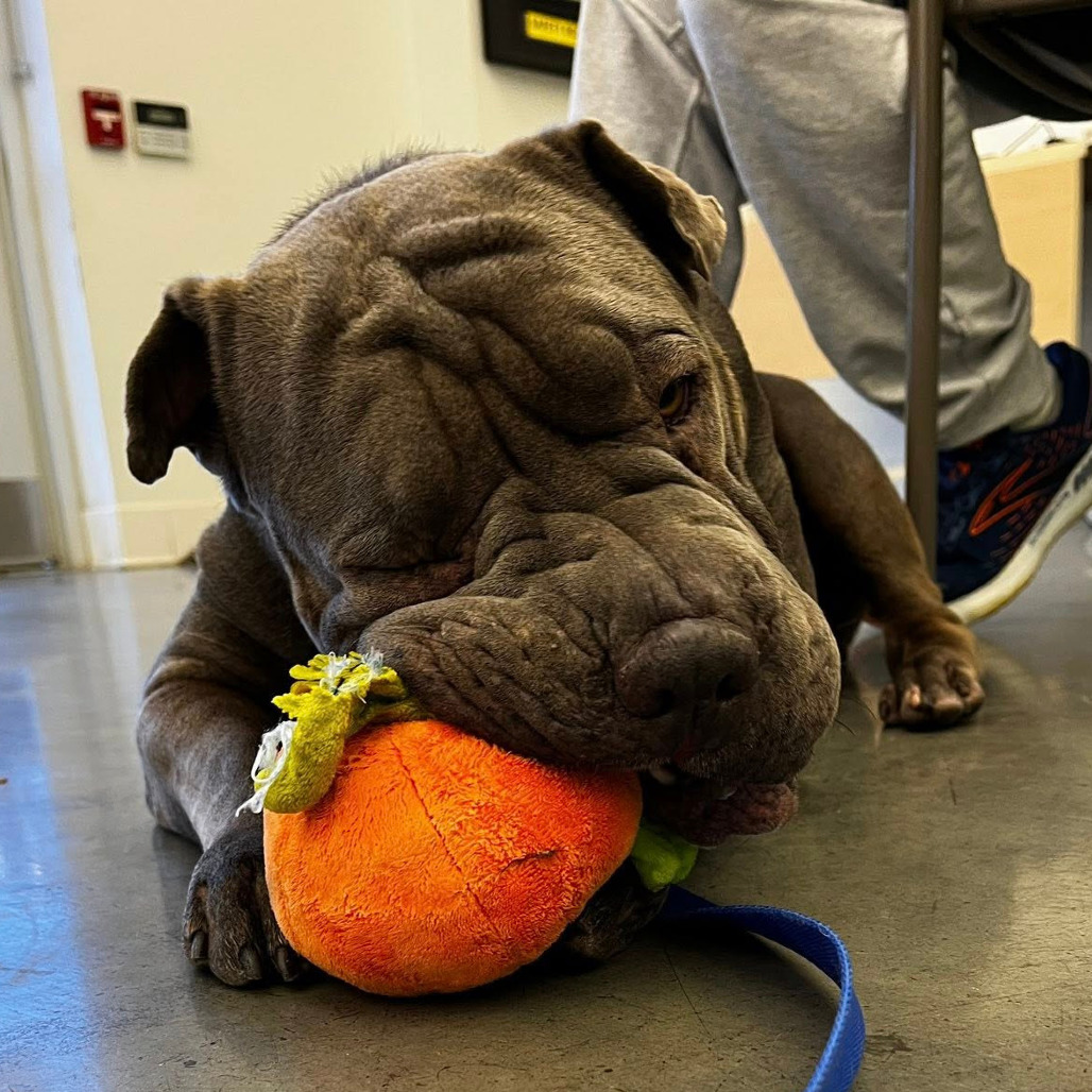 Photo of Gwendolyn  7