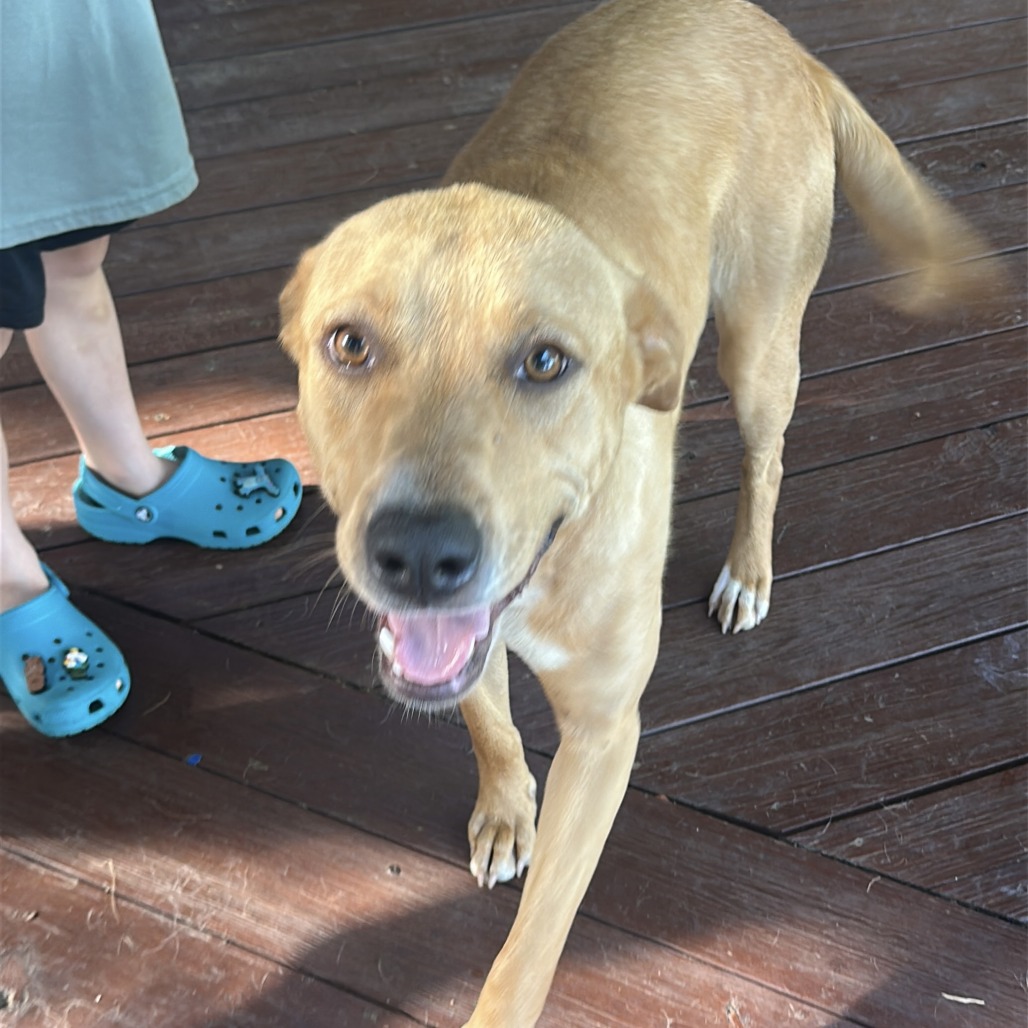 Luna photo 2