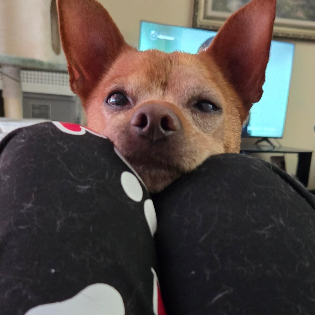Frito, photo 24