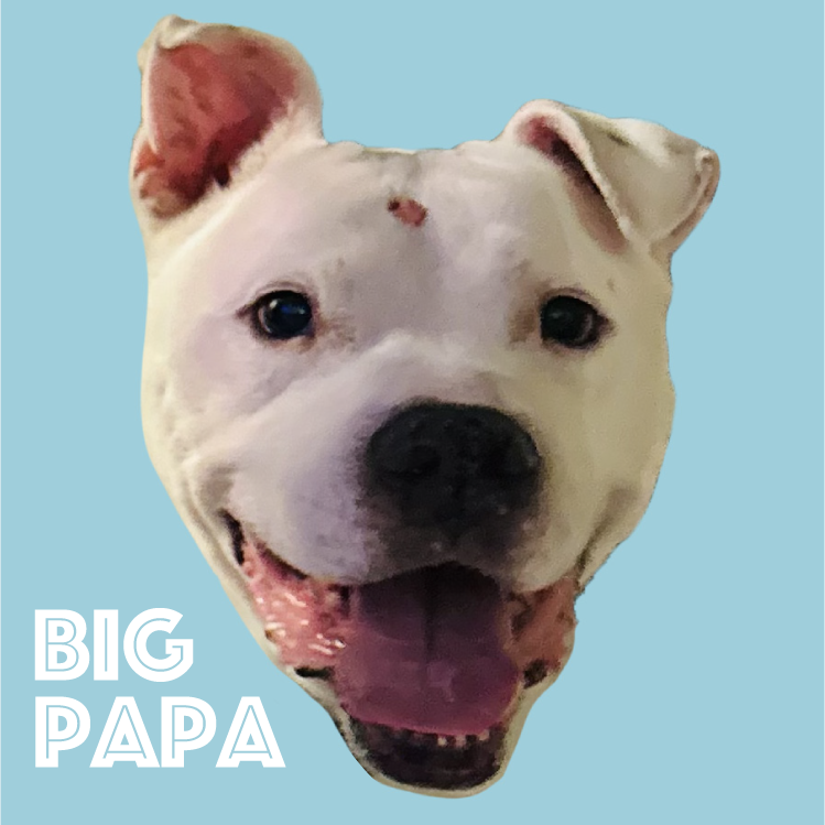 Big Papa (I Have a Secret Crush!), additional photo