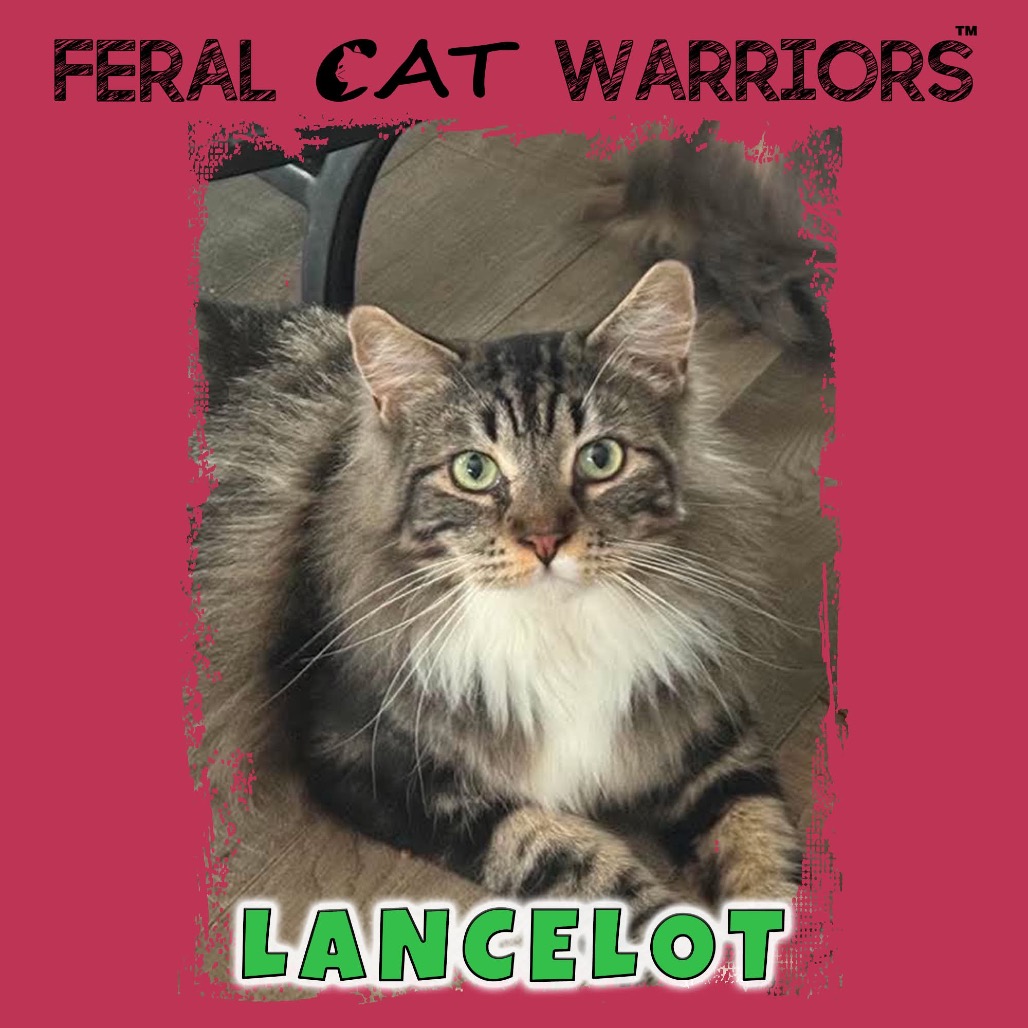 Lancelot