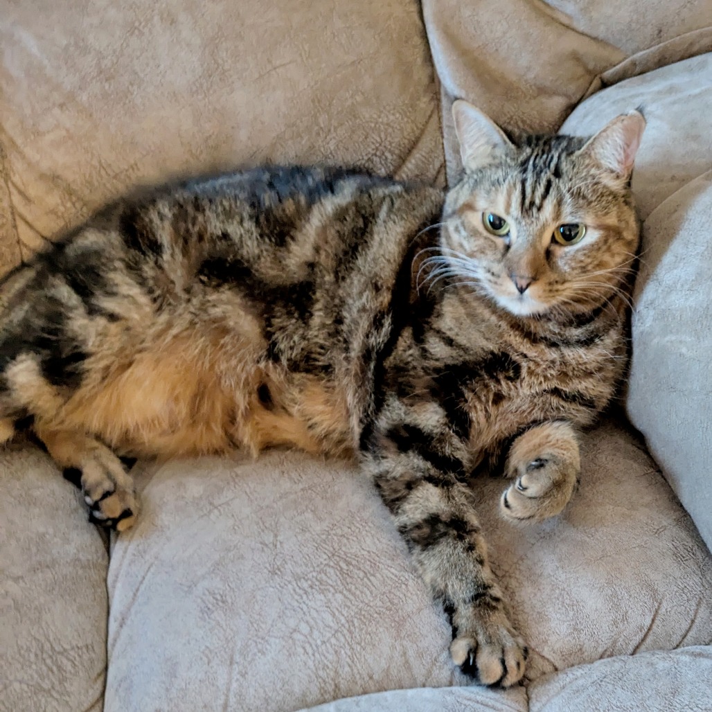 Olivia — thumbnail 5