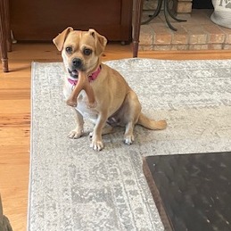 Thelma — thumbnail 5