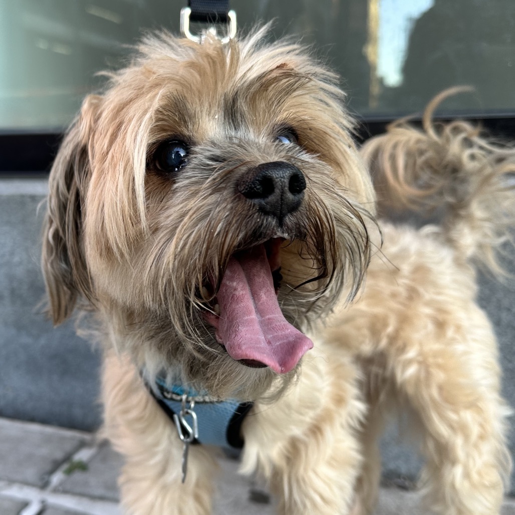 Quincy