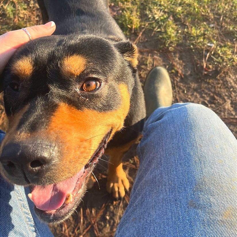 Popeye — thumbnail 8