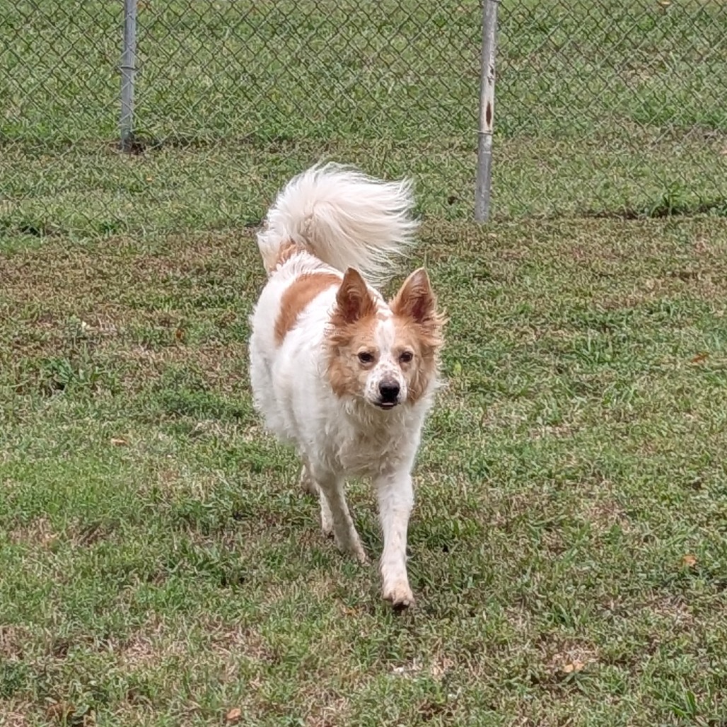Sandy photo 22
