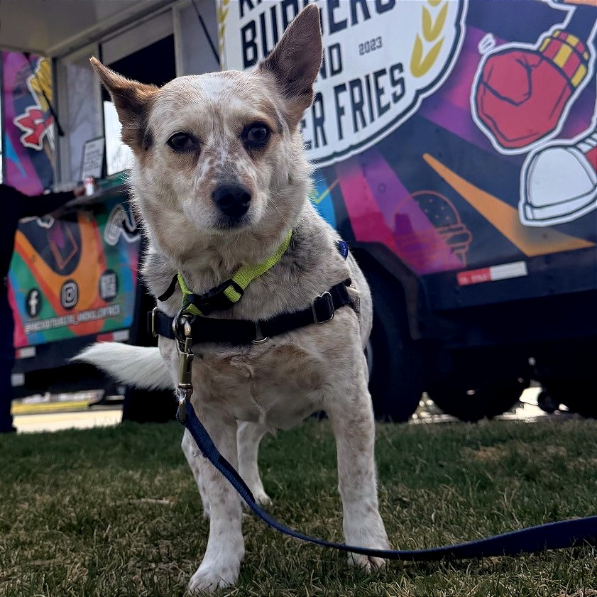 Luna — thumbnail 2