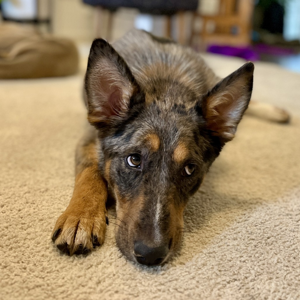 LEFTY, photo 7