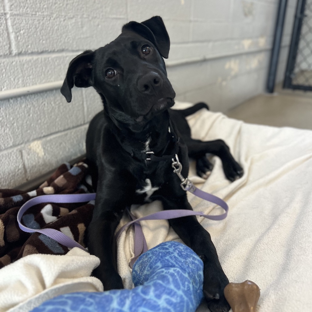 James Rush — thumbnail 7