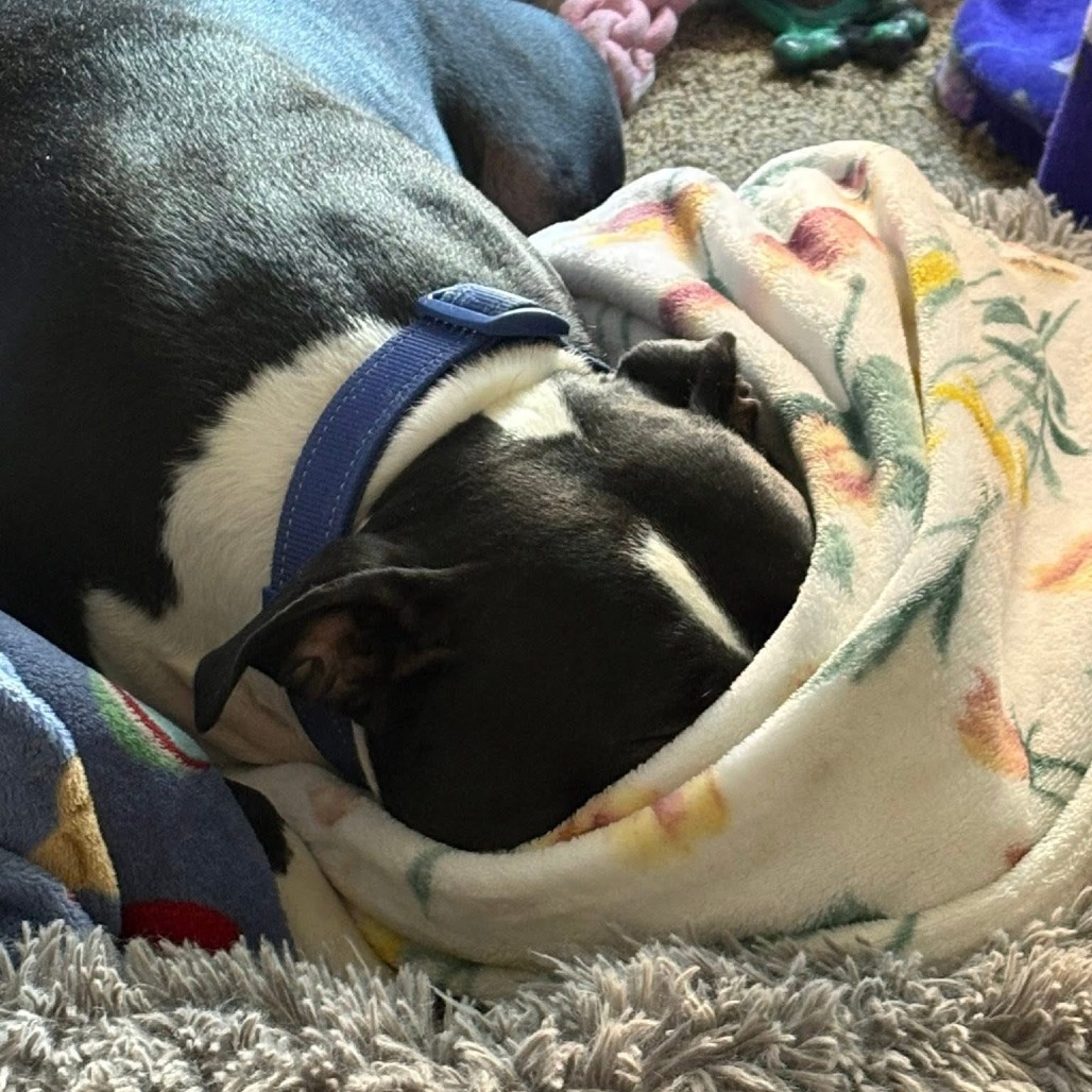 Photo of General Tso 91