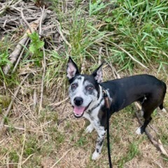 Beesly, photo 6