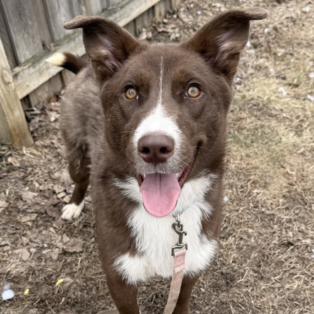 Bristol — thumbnail 6