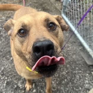 Winnie — thumbnail 9