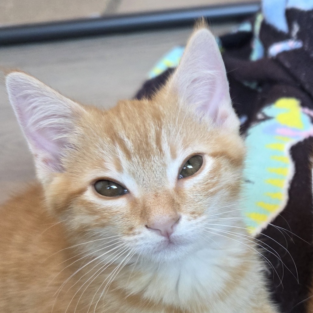 Fred, photo 4