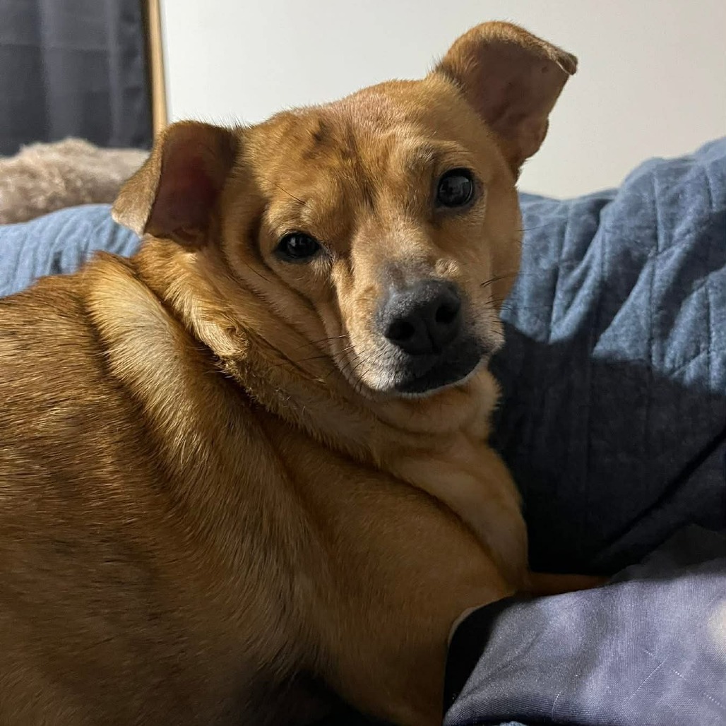 Samara — thumbnail 2