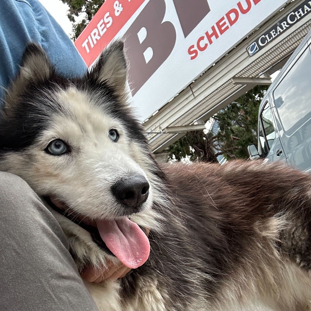 Camilla — thumbnail 2