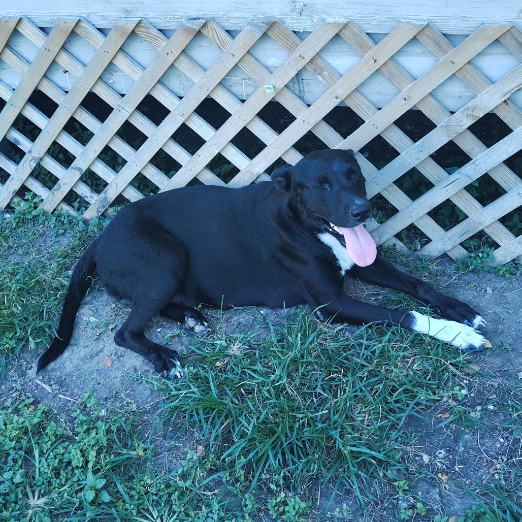 Penelope