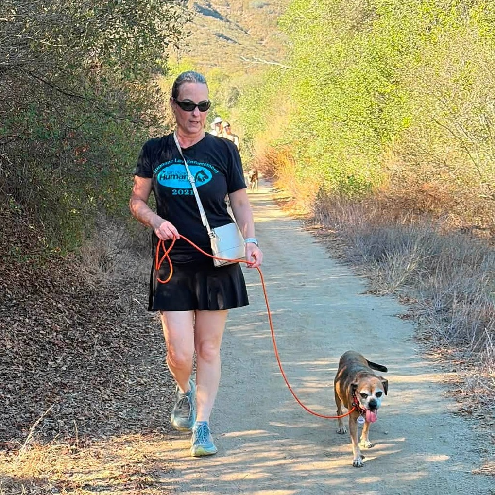 Puggle, photo 5