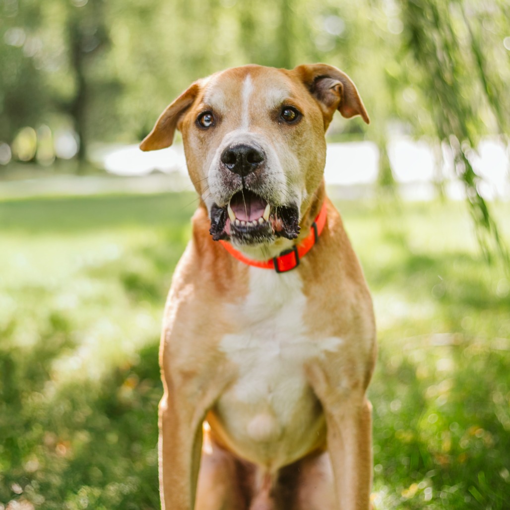 Toby-Foster — thumbnail 5